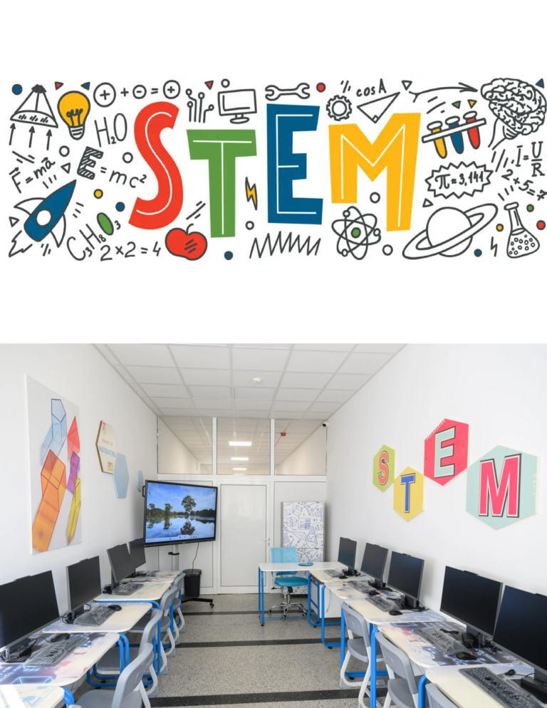 stem1