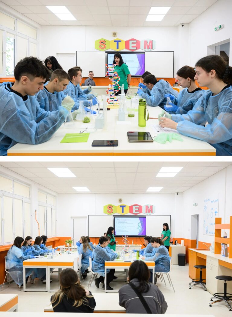 stem2